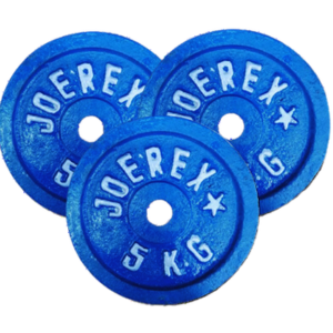 Exercise And Fitness 5kg Weight Plate 3 Pcs - Blue