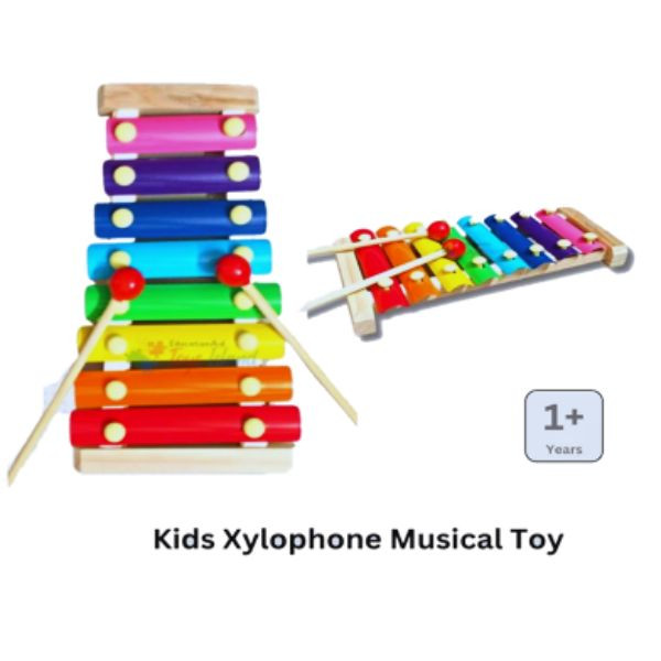 Kids Xylophone Musical Toy | Kids Xylophone